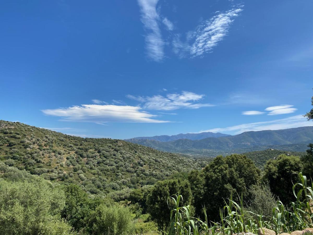 U Fondale, T2, Climatisé A 10 Minutes Des Plages Appartement *